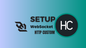 Read more about the article How To Create HTTP Custom Files for free in 2024