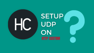 Read more about the article Free Internet: Configuring UDP on HTTP Custom – Easy Tutorial (2024)